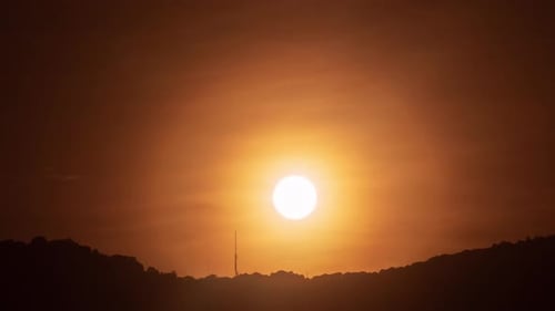 Sunset over dark silhouette of trees