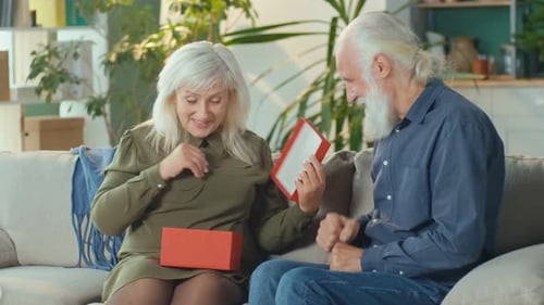 Loving Senior Couple Exchanging Gifts at Home