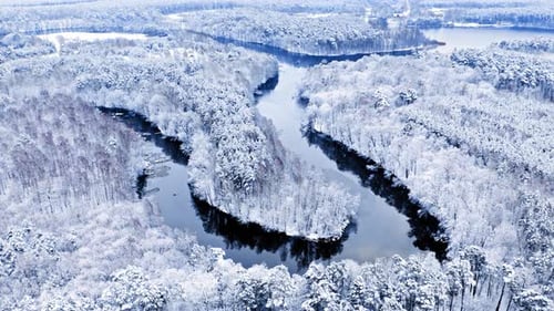 Stunning winter curvy river in winter. Aerial view of wildlife