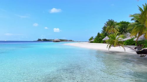 Tropical White Sand Beach with Calm Turquoise Water and Palm Trees Under Blue Sky Serene Atmosphere