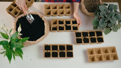 Top Down View Woman Gardening at Home Carefully Filling Planting Baskets with Fertile Soil Using