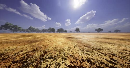Flight Over Dry Cracked Earth Savanna with Acacia Trees