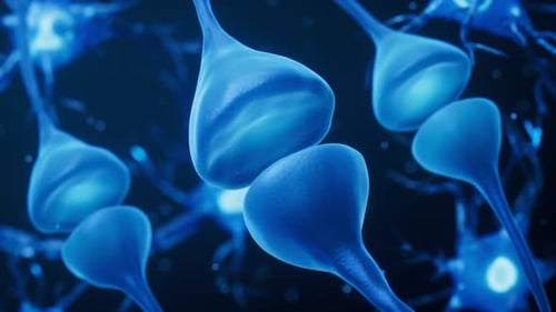 Biology nerve cell with biomedicine concept