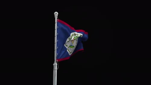 Belize Flag Waving on Flagpole Animation