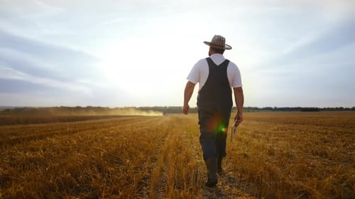 Bearded Farmer Walking Through Field at Sunset