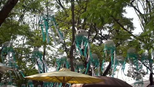 Tropical Trees Decorated with Teal and White Ribbons