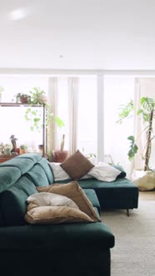 Acogedor interior de sala de estar con un sofá verde y plantas