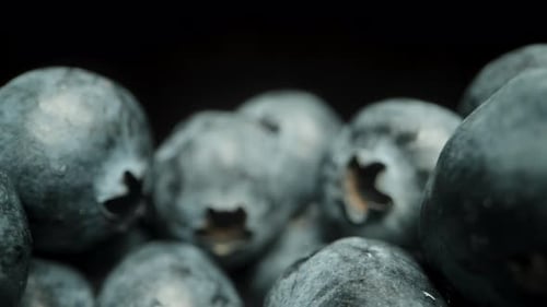 The camera glides back over the blueberries, and one falls from above. Macro dolly.