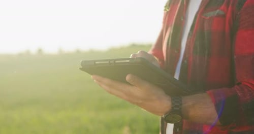 Cropped View of the Male Farmer Expert Browsing Tablet Computer Applications While Examining Green