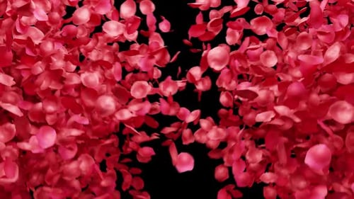 Romantic Falling Red Rose Petals Overlay