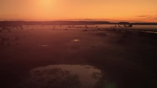 Mysterious Fog Over the Meadow
