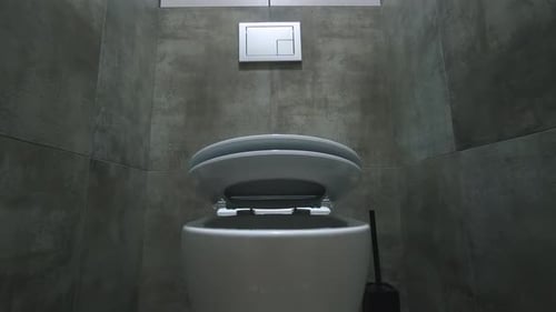 Langsam schließender Toilettensitz im modernen Badezimmer