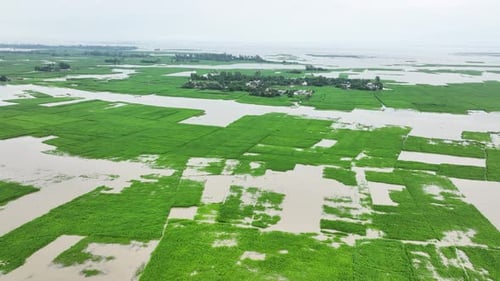 Aerial view of flooded green fields, Bangladesh.