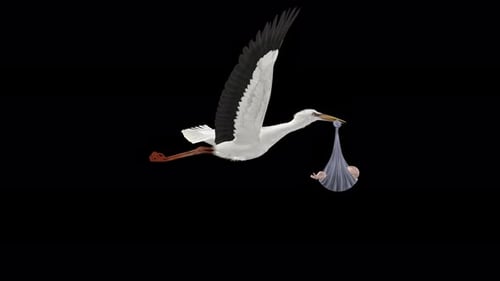 Stork Bird Bringing Newborn Baby - Light Skin - Flying Loop - Side Close Up View - Alpha Channel 4K