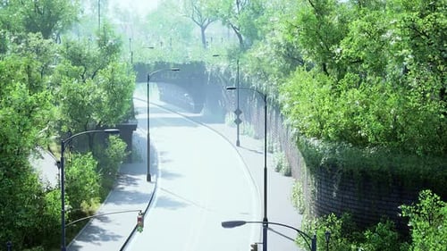 Asphalt Road and Green Trees in Park