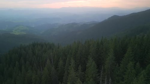 Flying Over Green Forest at Cloudy Day with the Mountains on Horizon with Glowing Clouds Carpathian