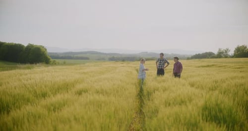 Farmer In Field Examining Crops Agriculture
