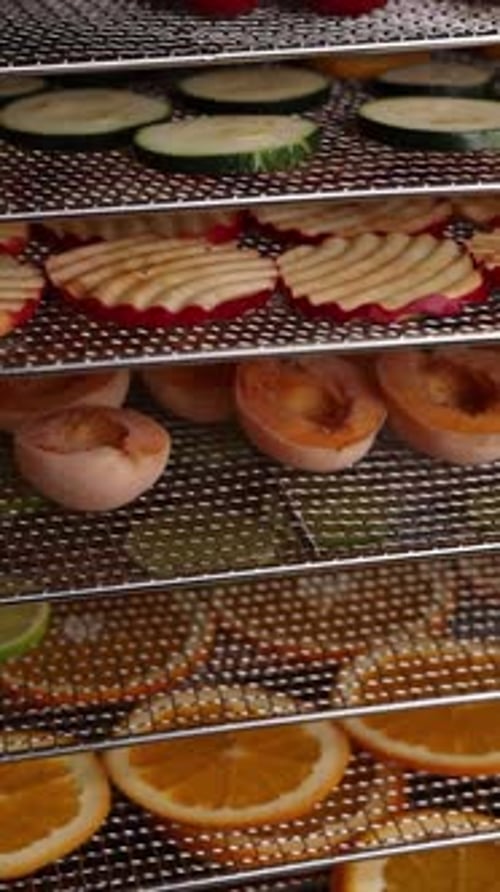 Fruit and Vegetable Slices in Food Dehydrator
