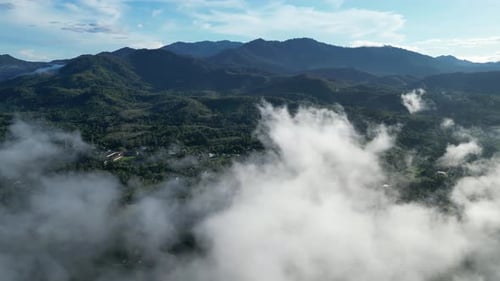 Scenic view of cloud-covered plantation creating serene atmosphere