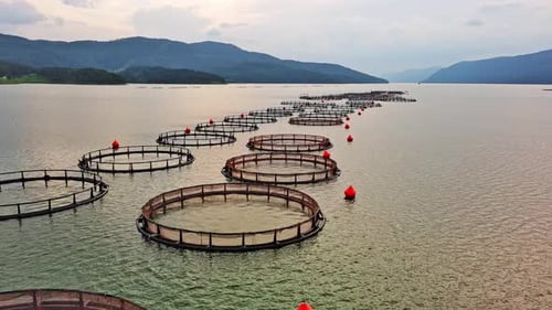 Fishing Cages for Breeding Fish in Lake in Mountain Valley of Rhodope Mountains Under Cloudy Sky