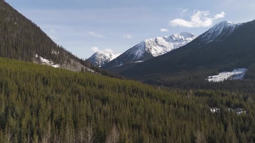 Aerial View of Snowy Mountains and Evergreen Forest in British Columbia, Canada