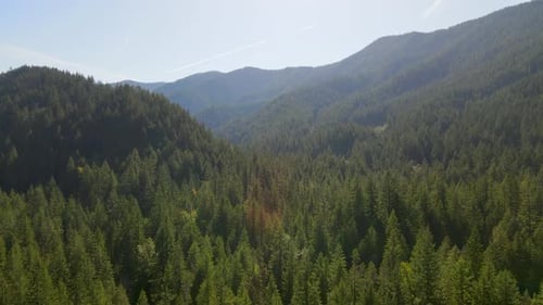 4K Aerial Drone Rise over Forest Mountains