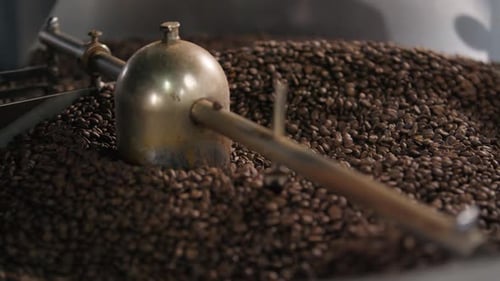 Coffee Roaster Machine Mixing Fresh Roasted Coffee Preparation on Manufacturing Warehouse Close Up