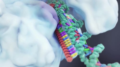 Vibrant DNA double helix structure with protein complex