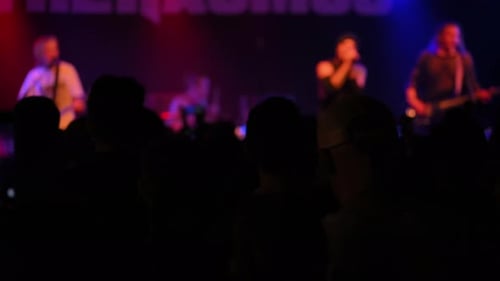 Audience Enjoying Music Concert with Rock Band