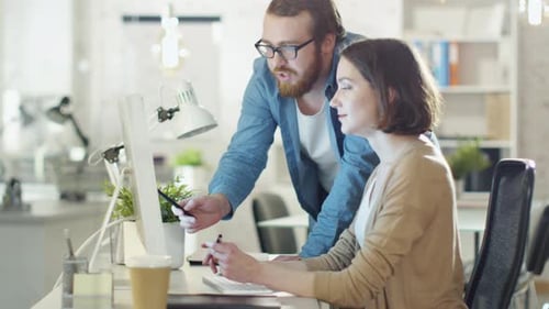 Two Colleagues Working Together at Computer in Office