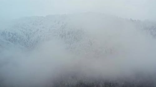 Snow Covered Mountain Forest in Misty Winter Landscape