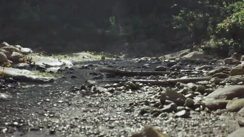 Ruisseau traversant un terrain rocheux à Madagascar pendant la journée
