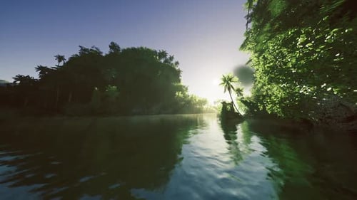 Sunshine Illuminates River Delta with Gentle Waves and Palm Shadows