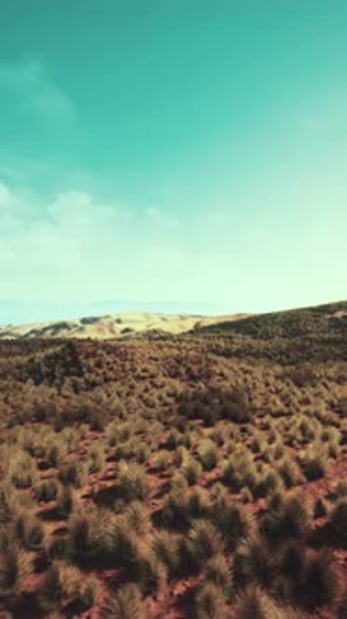 Sparse Grass Desert Landscape Under Blue Sky