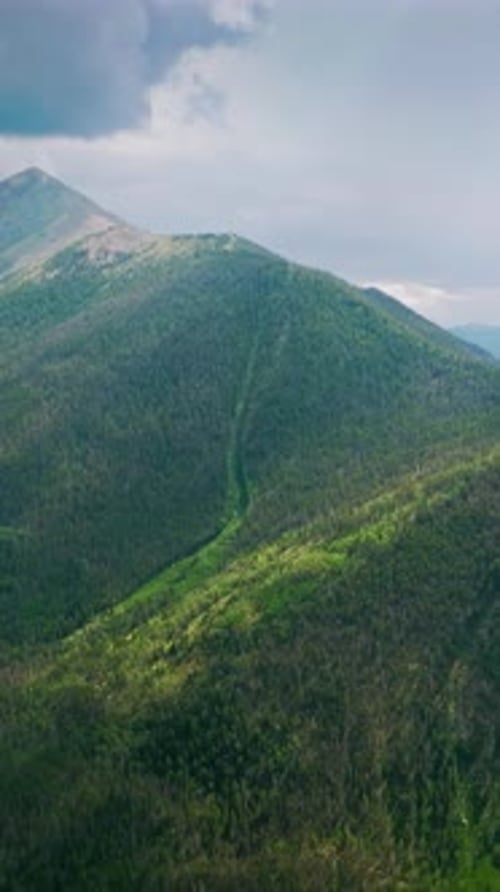 High mountains overgrown with green pine trees under the grey skies.
