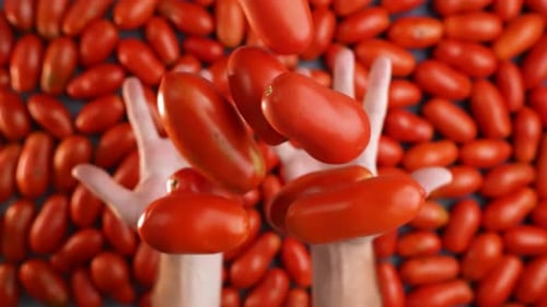 Plum Tomatoes Falling from Hands in Slow Motion