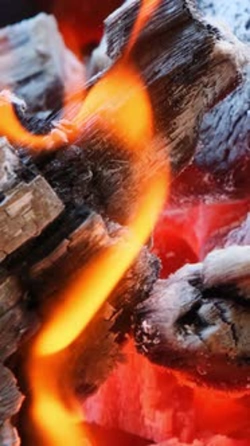 Burning Firewood Macro Close Up in Fireplace