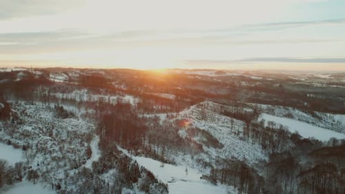 Snowy Forest during Sunset