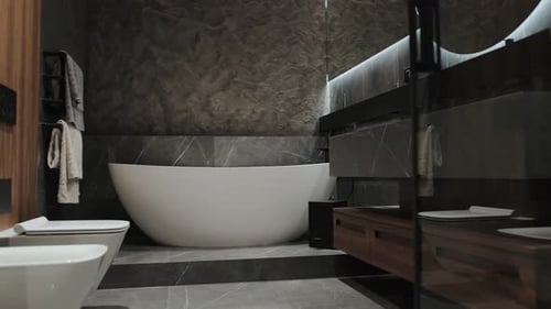 Modern Bathroom Interior with Freestanding Tub and Fixtures