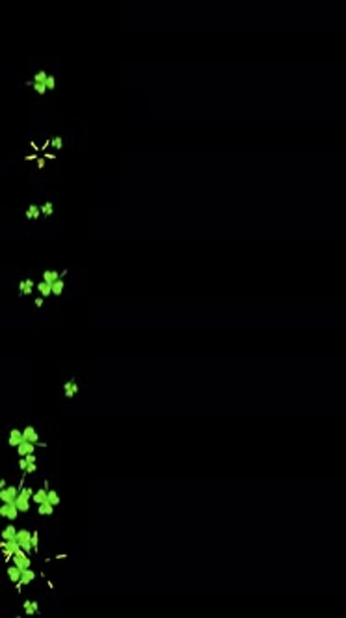 Shamrocks Rise zum St. Patricks Day auf schwarzem Hintergrund