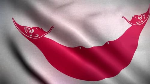 Waving Easter Island Rapa Nui Flag Loop Animation