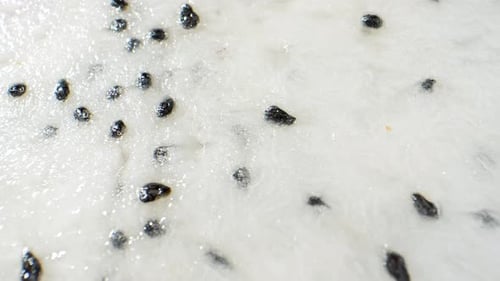 Macro video, a Dragon Fruit is halved to reveal its vibrant, speckled flesh