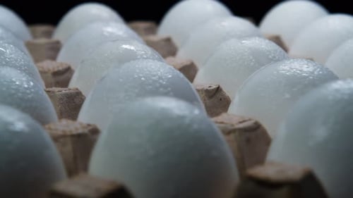 Fresh Chicken Eggs in Carton, Close Up