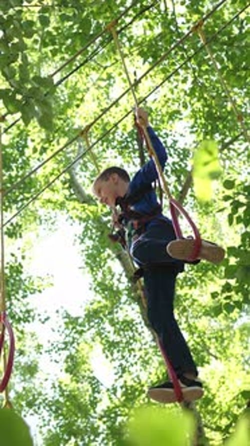 Child Climbs Ropes in Outdoor Adventure Park Surrounded By Trees and Nature on a Sunny Day