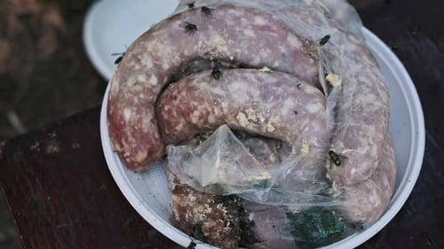 La viande pourrie attire les mouches