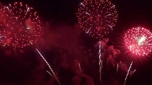 Bright Fireworks Exploding in the Dark Night Sky