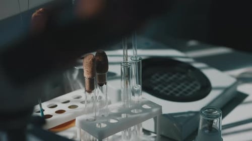 Tubes à essai de laboratoire contenant un échantillon alimentaire lors de l'analyse de contrôle qualité