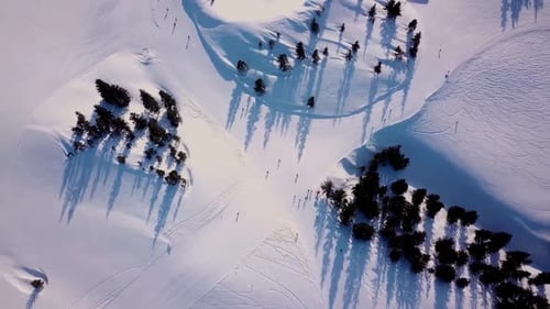 Stunning Aerial View of Snow Covered Mountains and Pine Trees