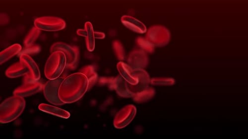 Red blood cells