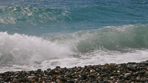 Sea Surf